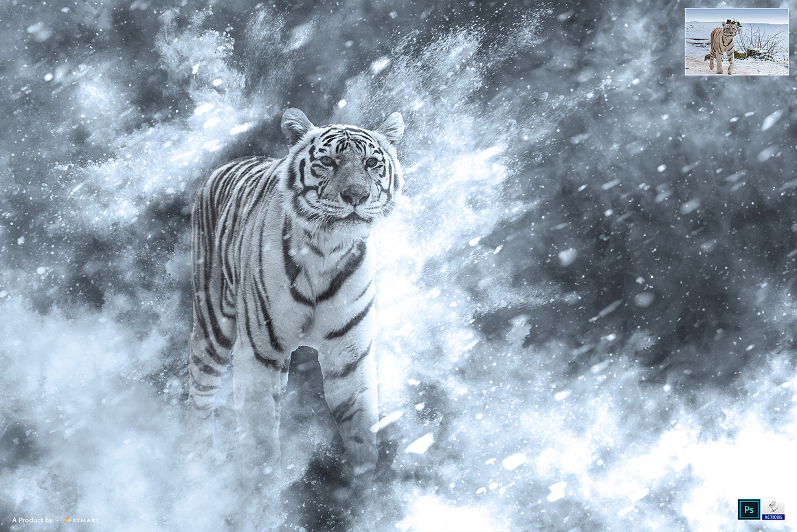 19-in-1 Supreme Fantasy Bundle, an Action Add-On by A R T M A R T (Photo 10 of 54)