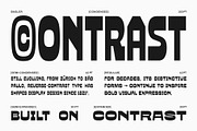 Basler - Reverse Contrast Sans, a Sans Serif Font by Mbonster Design Studio (Thumbnail 3 of 15)
