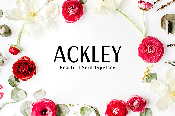 Ackley Sans Serif Font Family preview 7