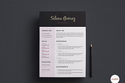 Professional CV & C.Letter templates, a Resume Template by Emaholic Template (Thumbnail 2 of 6)