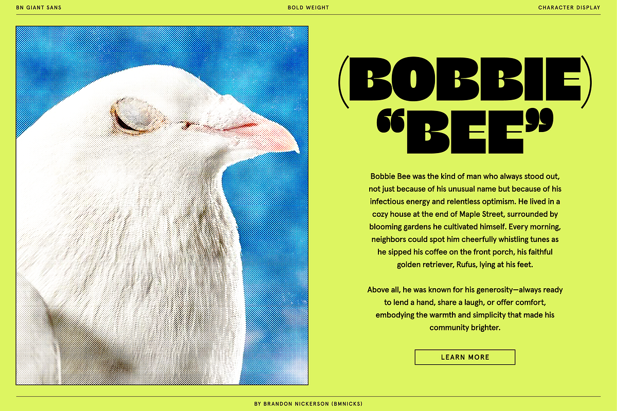 BN Giant, a Sans Serif Font by Bnick (Photo 11 of 19)
