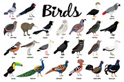 Big set of Different Birds, an Object Graphic by ianakauri (Thumbnail 6 of 8)