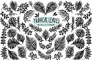 Vector leaves collection, an Illustration by Seamless and more stuff (Thumbnail 1 of 2)