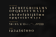 Egants Elegant Serif Font, a Serif Font by Perfectype (Thumbnail 7 of 8)