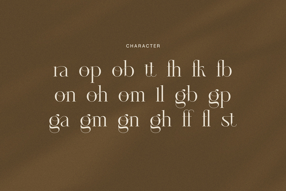 Paragon Elegant Classic Font, a Serif Font by Graphicxell (Photo 8 of 8)