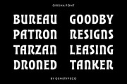 Orisha Funky Bold Font, a Sans Serif Font by Genetype (Thumbnail 6 of 8)