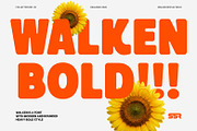 SS Walken - Modern Bold Font, a Sans Serif Font by Typocracy Studio (Thumbnail 1 of 13)