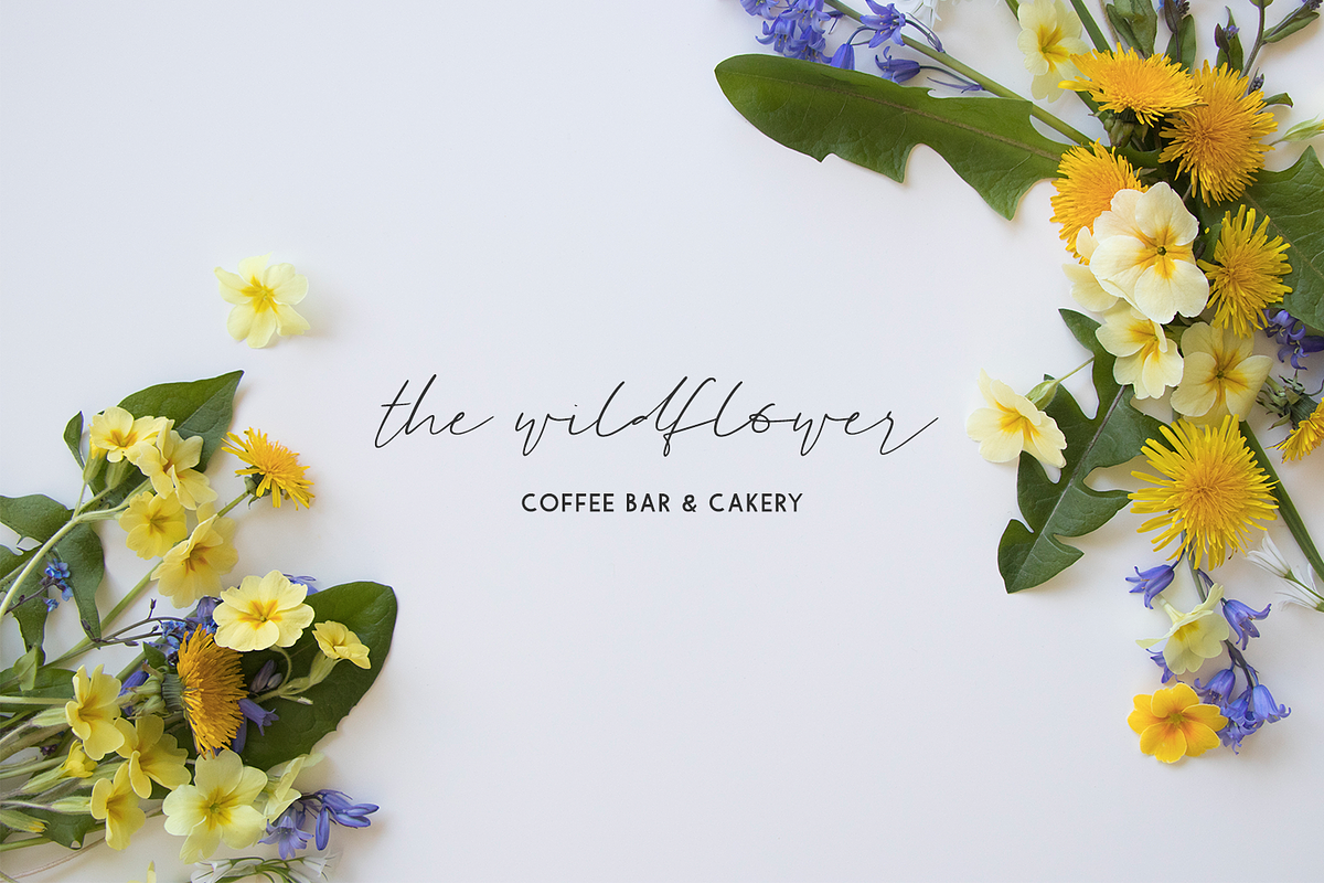Goodspring Script, a Script Font by Beck McCormick (Photo 6 of 10)