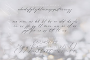 Queenly. Handwritten Font, a Script Font by AnMark (Thumbnail 12 of 15)