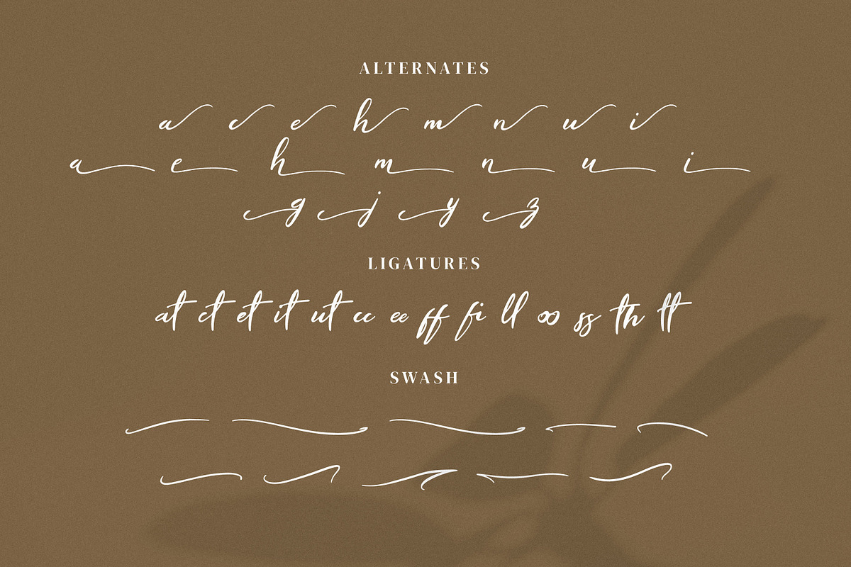 Luciena, a Font by Goresan Studio (Photo 11 of 14)