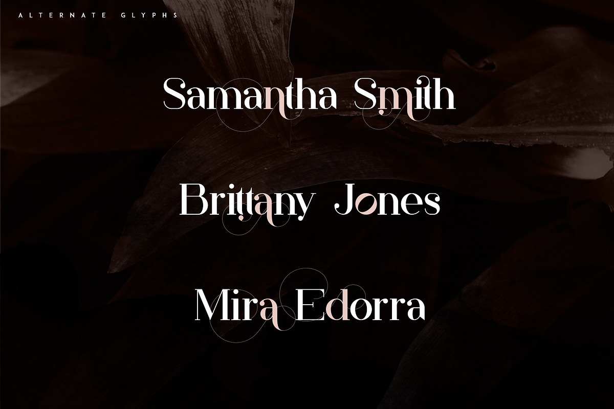 Papillon - Handcrafted Serif Font, a Serif Font by VP Fonts (Photo 8 of 13)