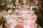 Fantyns Elegant Luxury Script Font, a Script Font by Elegant Font (Thumbnail 2 of 8)