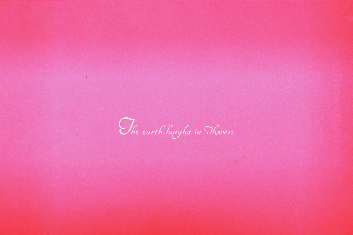 Analog Bloom Backgrounds, a Background Graphic by Lilithcollageart (Photo 6 of 11)