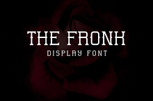 The Fronk - Decorative Display Font