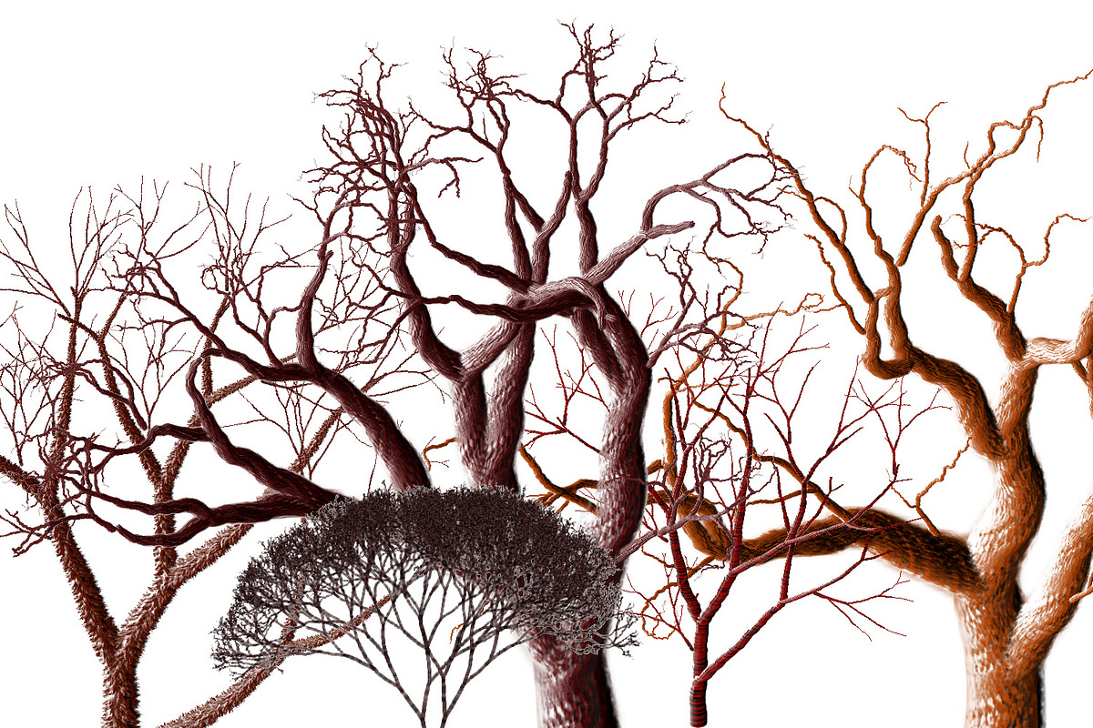 13 PNG images - Bare Trees, a Print Template by Kseniya-Omega (Photo 3 of 3)