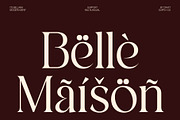 CS Bellara – Modern Serif Font, a Serif Font by Craft Supply Co. (Thumbnail 7 of 8)