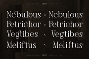 Qelenta - Modern Serif Font, a Serif Font by AmorfaType (Thumbnail 5 of 10)