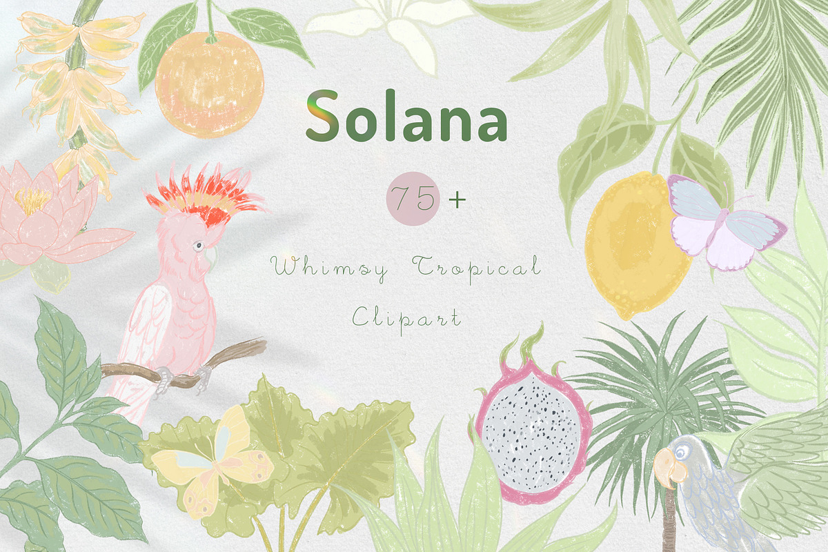 Solana tropical whimsy clipart, an Object Graphic by mila_leev (Photo 1 of 10)