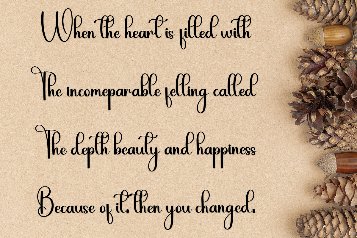 Beautica, a Handwritten Font by FreshTypeINK (Photo 8 of 8)