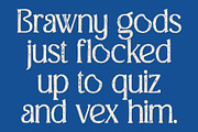 CS Giova Stamp, a Serif Font by Craft Supply Co. (Thumbnail 5 of 8)