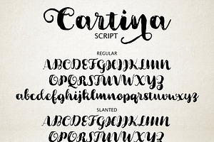 Cartina 8 In 1 Script