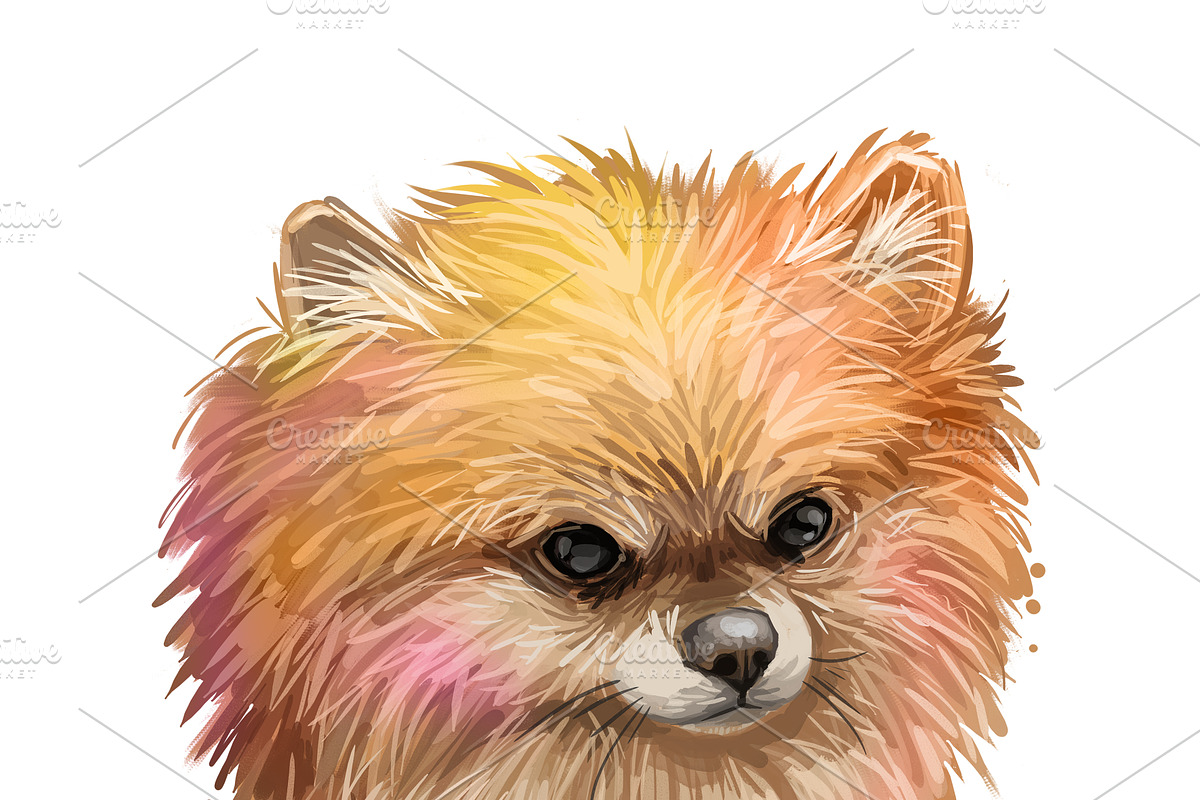 Puppies Dog Breeds Big Bundle 135Pcs, an Animal Illustration by Dneprstock (Photo 26 of 68)