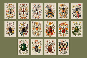 Insects Vintage Posters