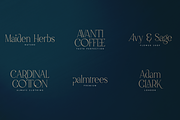 Malinger - Elegant Serif Font, a Serif Font by VP Fonts (Thumbnail 4 of 20)