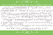 Sale-Fratello Nick Pro Bold Italic, a Font by Debi Sementelli (Thumbnail 3 of 3)