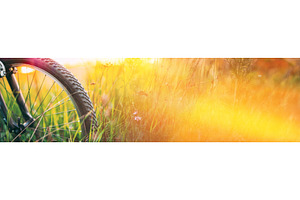 Bicycle Wheel In The Summer Green, a Transportation Photo by Our Amazing World