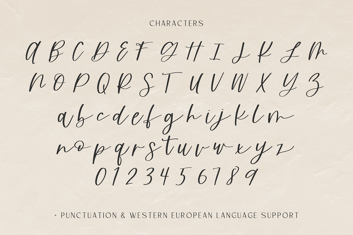 Harvester Script, a Script Font by Beck McCormick (Photo 10 of 10)
