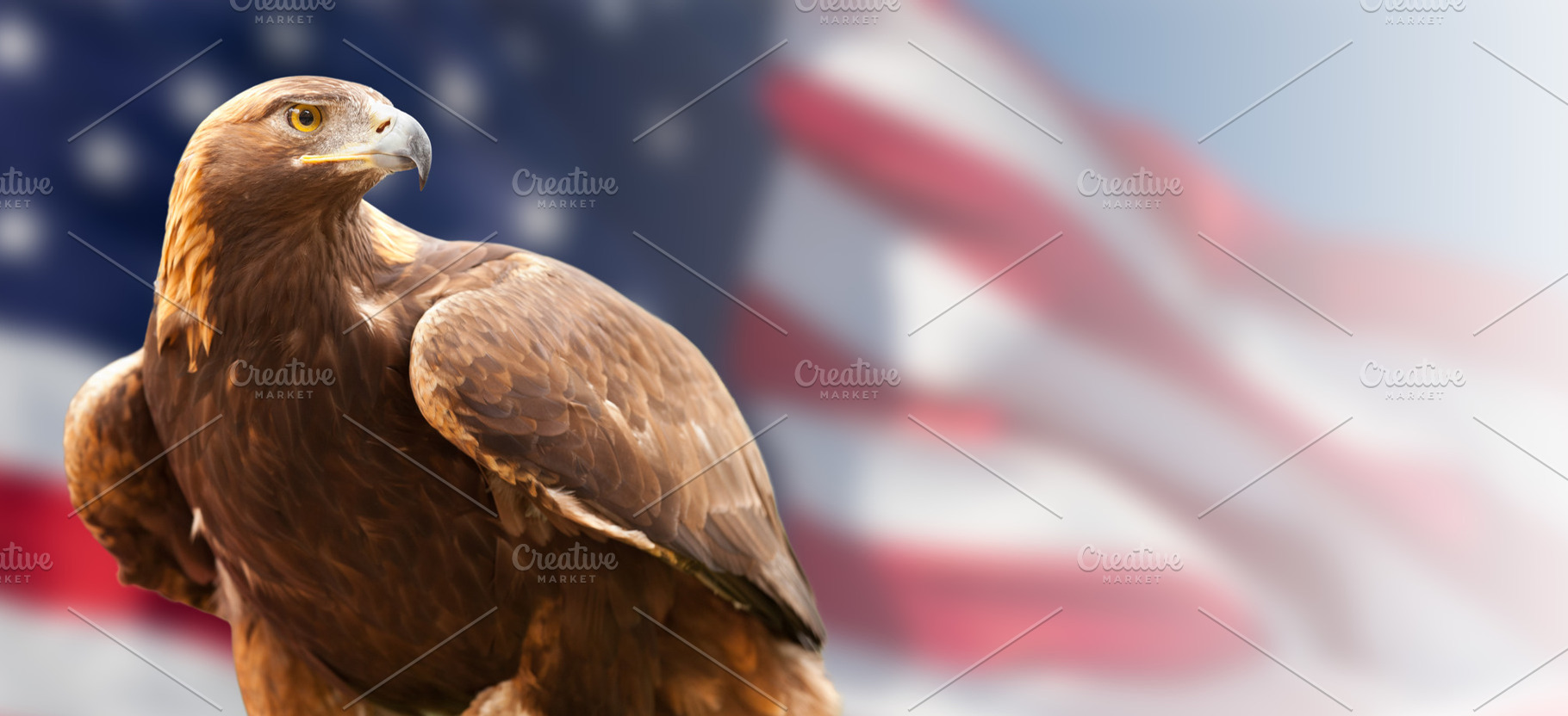 Eagle in Front of The American Flag, a Photo by Andy Dean Photography