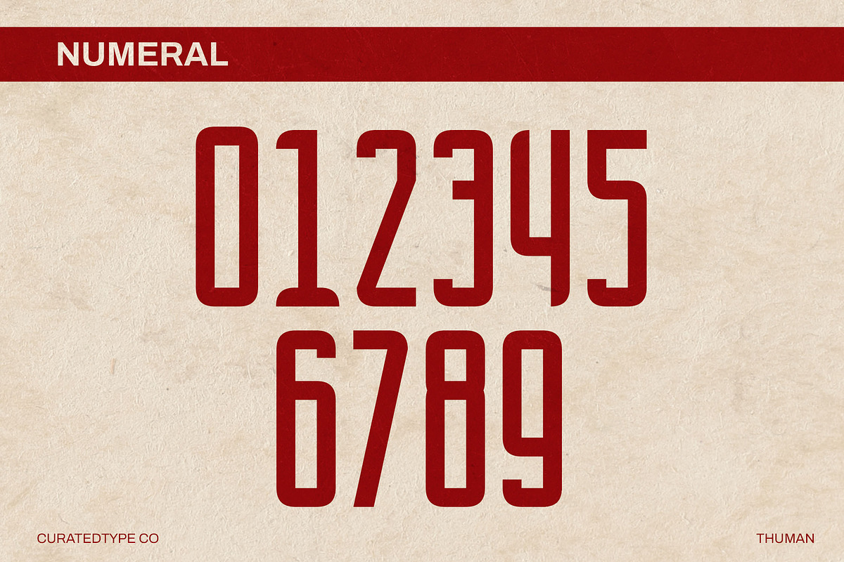 Thuman - Tall Display Font, a Sans Serif Font by CuratedType Studio (Photo 7 of 13)