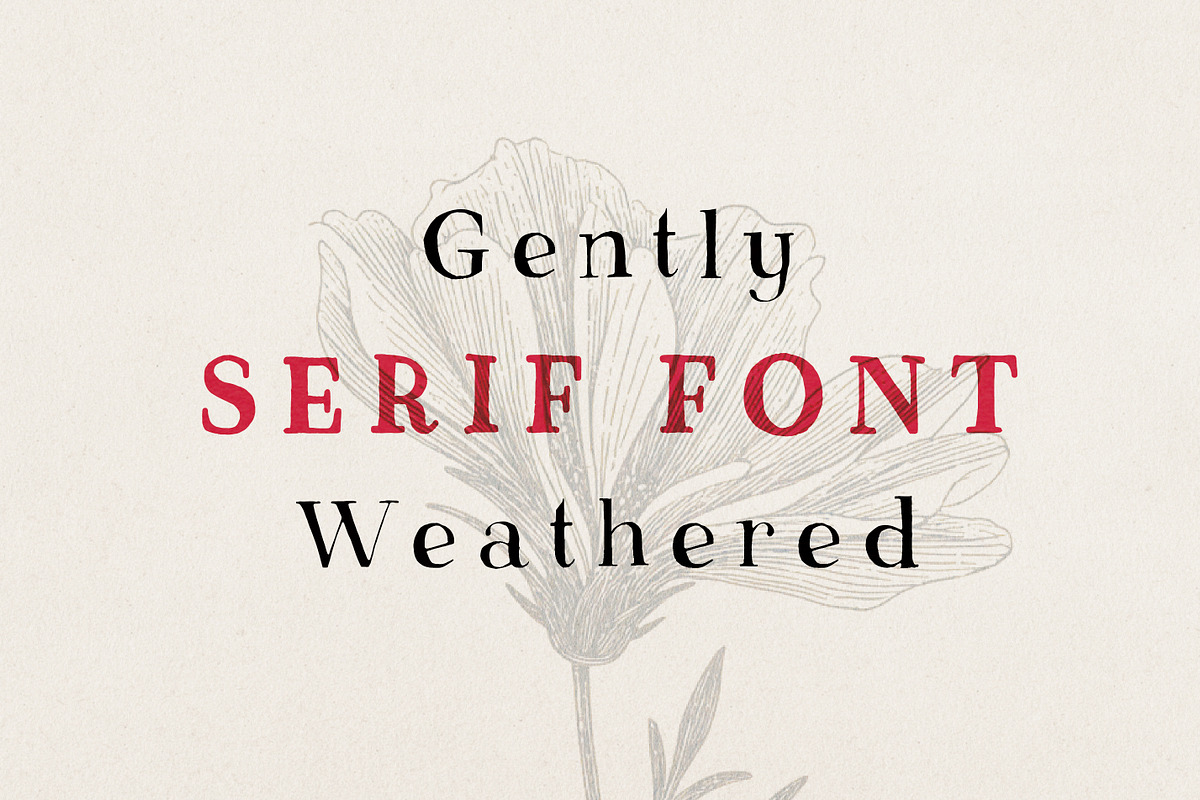 Kolanko | Imperfect Vintage Serif, a Serif Font by Point and Poem (Photo 2 of 11)