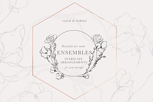 Graceful Floral Illustrations Bundle