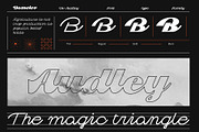 Dv Audley, a Script Font by Damelev (Thumbnail 13 of 15)