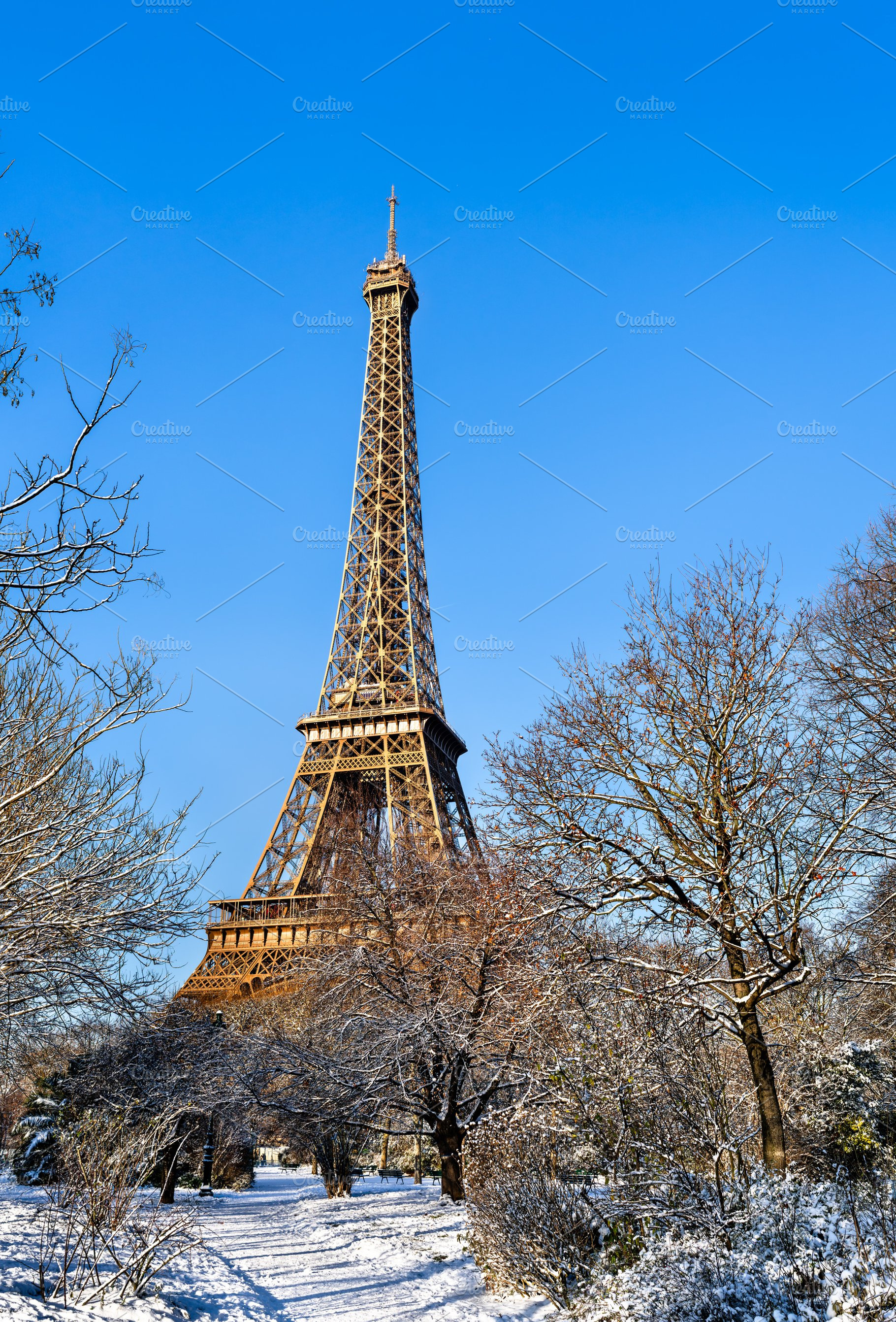 Eiffel Tower in winter with snow covered trees under blue sky, an Architecture Photo by Leonid Andronov