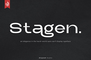 Stagen | Modern Display Sans Serif