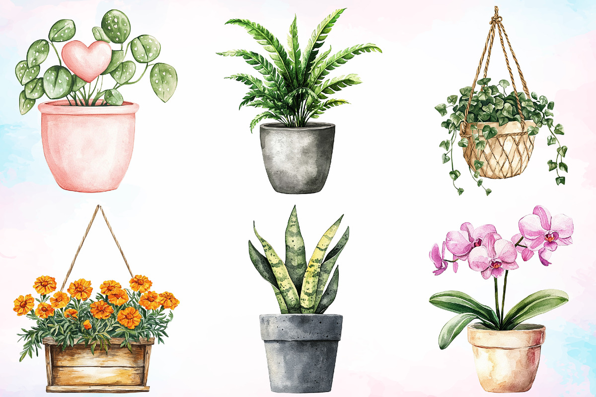 Watercolor Potted Plants Clipart PNG, an Illustration by Canvas Craft (Photo 3 of 3)