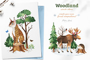 Woodland. Cute forest collection., an Animal Illustration by Kate_Rina (Thumbnail 9 of 15)