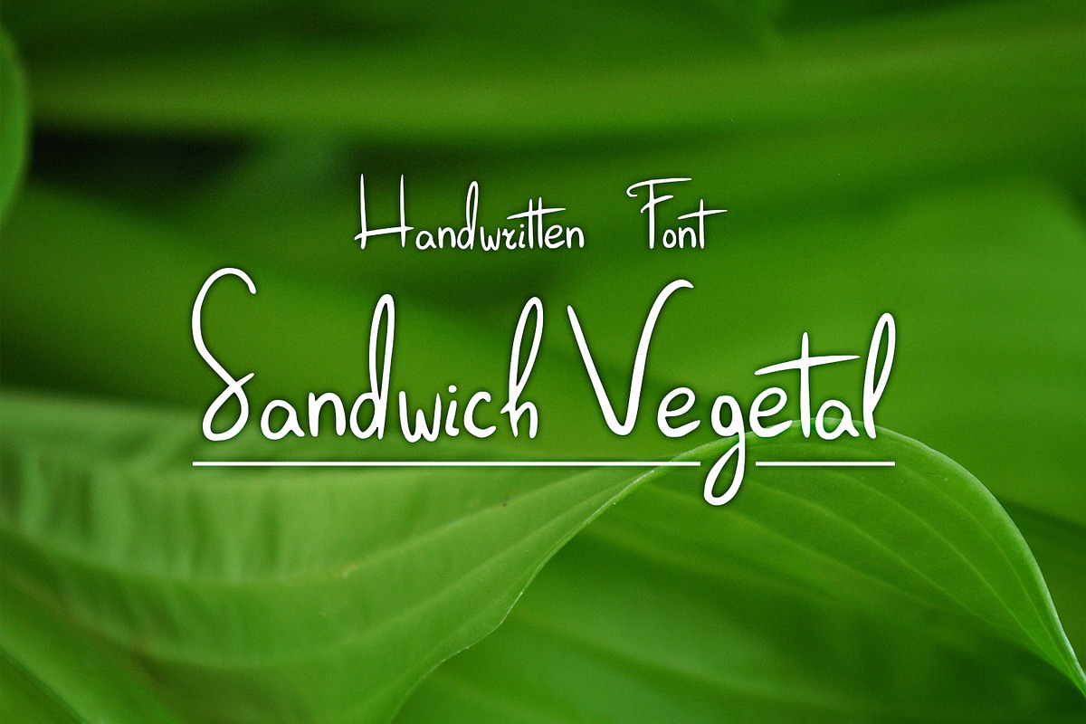 Sandwich Vegetal