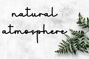 Stanting, a Handwritten Font by FreshTypeINK (Thumbnail 5 of 8)