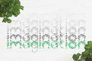 Leaphabet, a Serif Font by Kris Davie (Thumbnail 2 of 10)