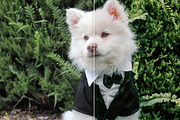 LR Presets - Non-Hipster Wedding, an Action Add-On by PhotoMarket (Thumbnail 11 of 38)