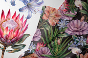 Seamless floral pattern, a Pattern Graphic by Elona Laff (Thumbnail 3 of 3)