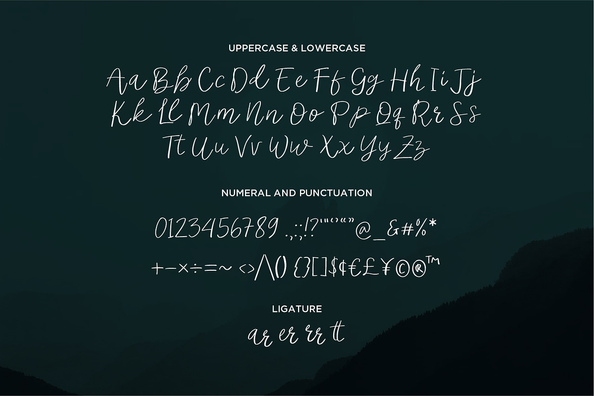 Noerdick - Modern Script fonts, a Script Font by Nahar_std (Photo 6 of 6)