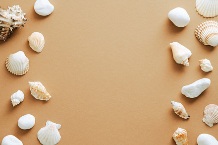 Double border frame of seashells, a Holiday Photo by photoguns