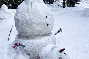 Playful snowman duo in a snowy park with carrot nose and twig arms, a Photo by AS photostudio