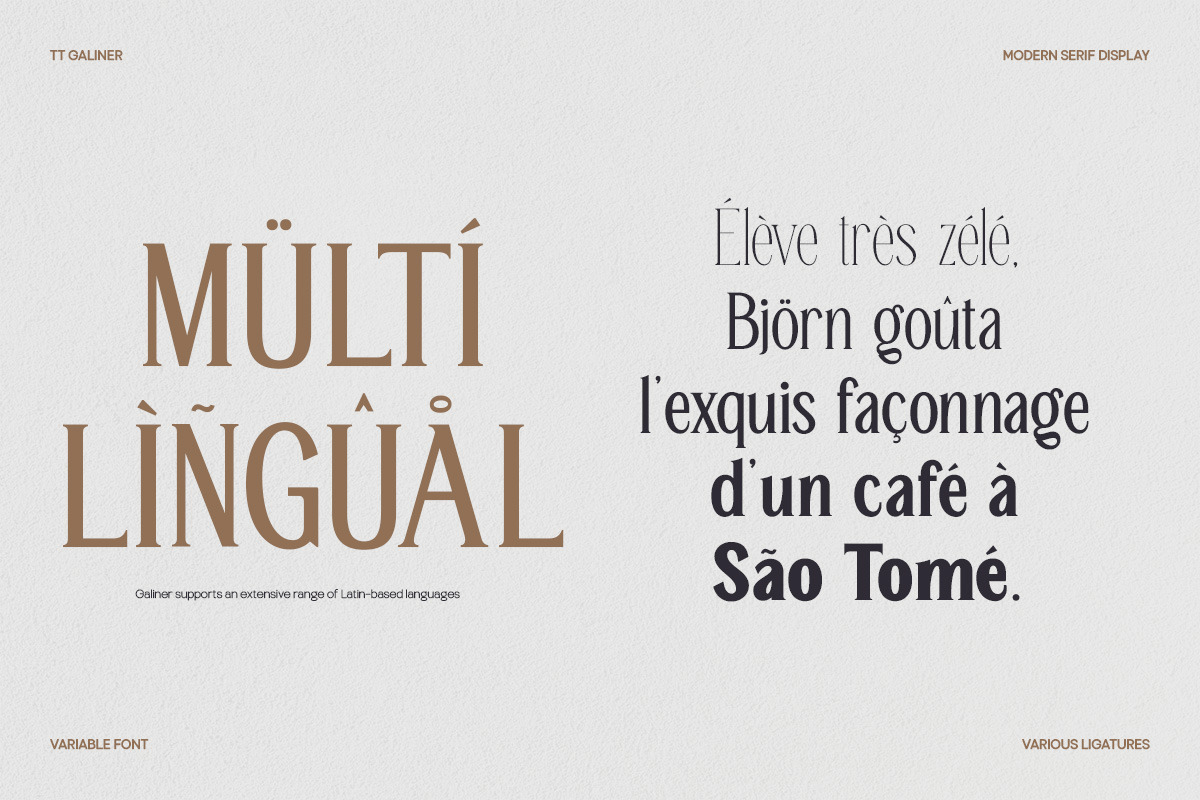 TT Galiner – Timeless Elegance Serif, a Serif Font by truetype (Photo 15 of 15)