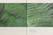 Sylva Textured Botanical Backgrounds, a Background Graphic by alonahaidash (Thumbnail 12 of 15)